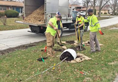 The tree-planting crew in Flossmoor placed 55 trees during Community Cleanup Day. (Provided photo by Jennifer O’Keefe)