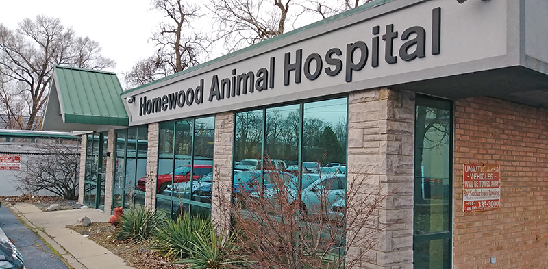 The former Homewood Animal Hospital will be the new site of a pet adoption center managed by South Surburban Humane Society. The hospital closed in April 2015. Since then, The building has been vacant. (Eric Crump/H-F Chronicle)