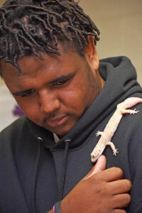 Jalen Coles-Foster of Homewood holds Nugget the gecko during a Zoo/Bots class. (Photo by Mary Compton/H-F Chronicle)