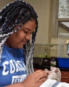 Kelsey Barker of Flossmoor holds Albie the hedgehog during her zoology class. The senior plans to study veterinary medicine in college. (Photo by Mary Compton/H-F Chronicle)