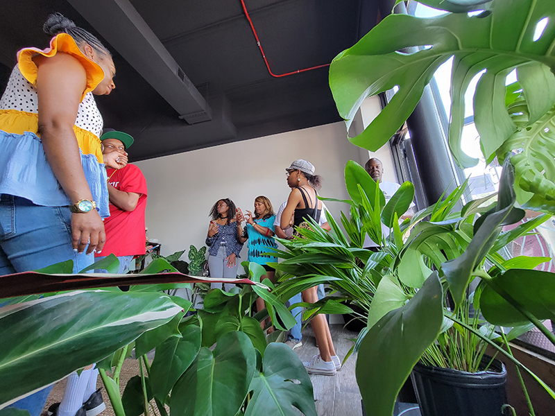 Exotic plants are the specialty of Roots + Fire Water, a new botanicals and wellness store at 1941 Ridge Road in Homewood. (Eric Crump/H-F Chronicle)