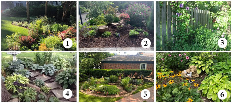 The National Council of Jewish Women South Cook Section will host the organization's annual Southland Community Garden Walk on Sunday, with an opportunity to view six area gardens. (Provided photos)