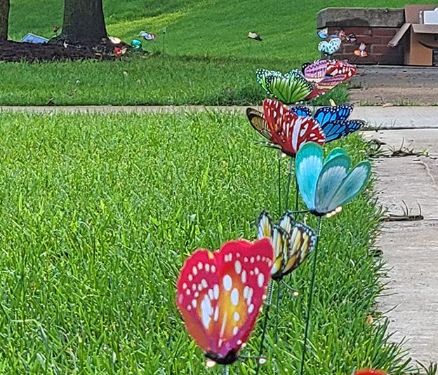 Butterfly ornaments line the lawn in Irwin Park during the memorial on July 27 for Alexis Wilson. (Eric Crump/H-F Chronicle)
