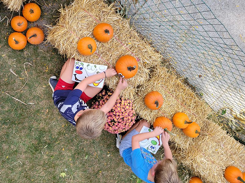 Youngsters decorate pumpkins in the Fall Fest pumpkin patch on Saturday, Sept. 24. (Eric Crump/H-F Chronicle)