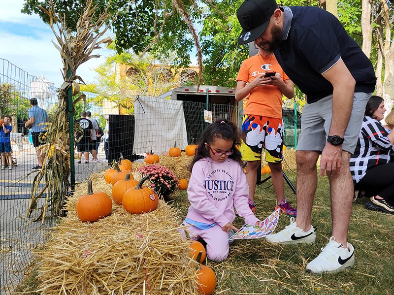 Arykah Carrozco, 7, of Chicago Heights, shows her dad, Jaime Carrazco, the next sticker she plans to use to decorate her pumpkin in the Fall Fest pumpkin patch. (Eric Crump/H-F Chronicle)