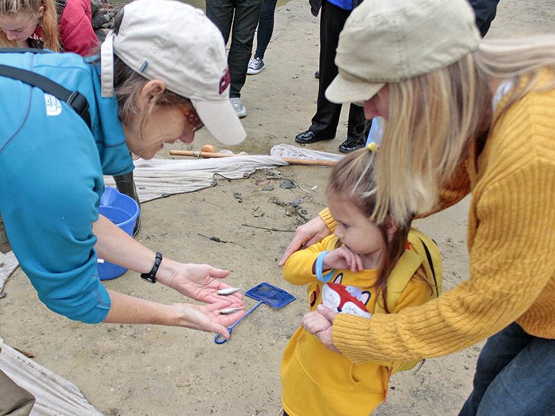 Biology professor Cathy Pfister shows a youngster two minnows during the 2019 Walk Walton event. (Chronicle file photo)