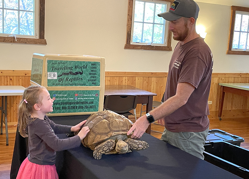 Sage Turvey, 5, of Homewood, touches a sulcata tortoise under the watch of Jeremy Taulbee, of Dave DiNaso's Traveling World of Reptiles, during Walk Walton. (Bill Jones/H-F Chronicle)