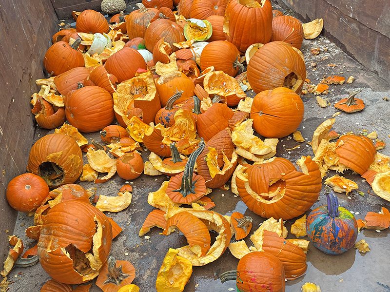 The remnants of pumpkins smashed Saturday, Nov. 5, at Coyote Run Golf Course were deposited into a Homewood Disposal bin to be transported for composting. (Bill Jones/H-F Chronicle)