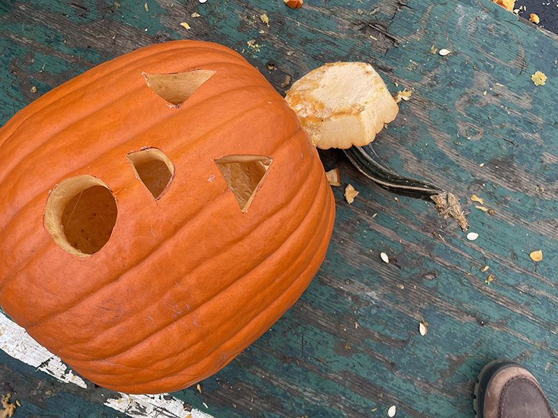 A large pumpkin past its prime holds an expression of concern moments before a hammer sends it to the compost heap. (Bill Jones/H-F Chronicle)