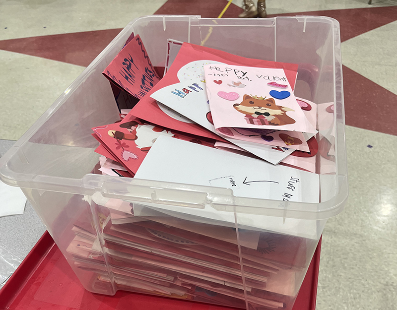 A bin of filled with some of the many Valentine's Day cards created by volunteers on the MLK Day of Service for the seniors. (Nick Ulanowski/H-F Chronicle)