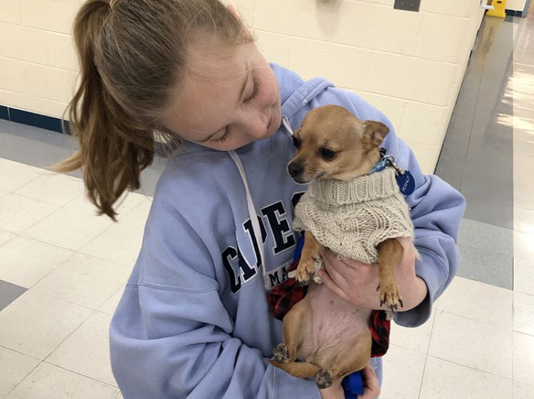 Churchill School third grader Cora Donohue gave lots of attention to the South Suburban Humane Society's ambassador dog who was present at the District 153 Martin Luther King Jr. Day of Service event. (Marilyn Thomas/H-F Chronicle)