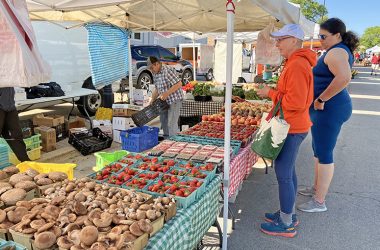 Janet Hernandez, in orange shirt, chooses produce at the Six Generations Farm stand as her daughter Sonia watches over her shoulder. (Randall Weissman/H-F Chronicle)