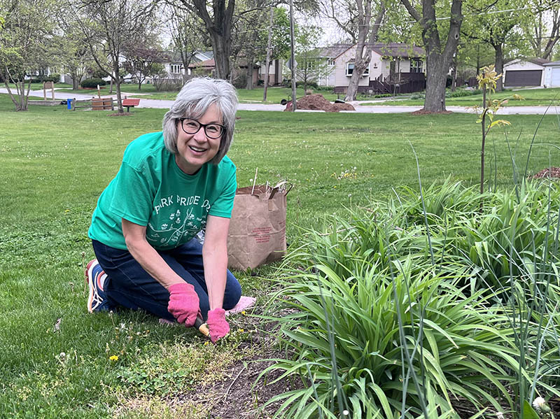Anne Brabec pulls weeds at Orchard Park in Homewood during the 2023 Park Pride day. (Nuha Abdessalam/H-F Chronicle)