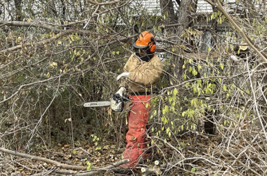 A Homewood-Flossmoor Park District worker is surrounded by branches of invasive species as he works to clear the area along the Coyote Run Golf Course north fence. (Provided photo)