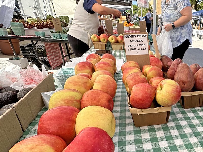Perfect apples and pears from Six Generations Farm tempt shoppers like Tiffany Vaughn of Homewood (right), who collects her purchases from seller Martha Figueroa. (Karen Torme Olson/H-F Chronicle)