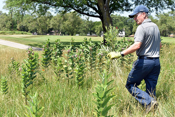 Dave Ward gives a tour of the native plants at Coyote Run Golf Course in 2018. (Chronicle file photo)