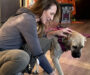 Dog safety: Dog trainer shares preventive tips following dog attacks