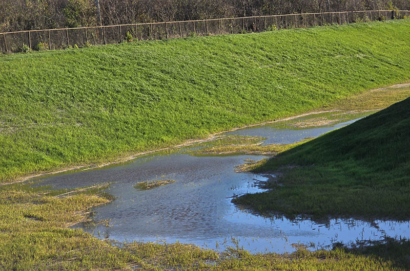 A photo taken on Nov. 19 shows water pooling in the Heather Hill detention basin. By design, the basin was supposed to be dry between rain events. (Eric Crump/H-F Chronicle)