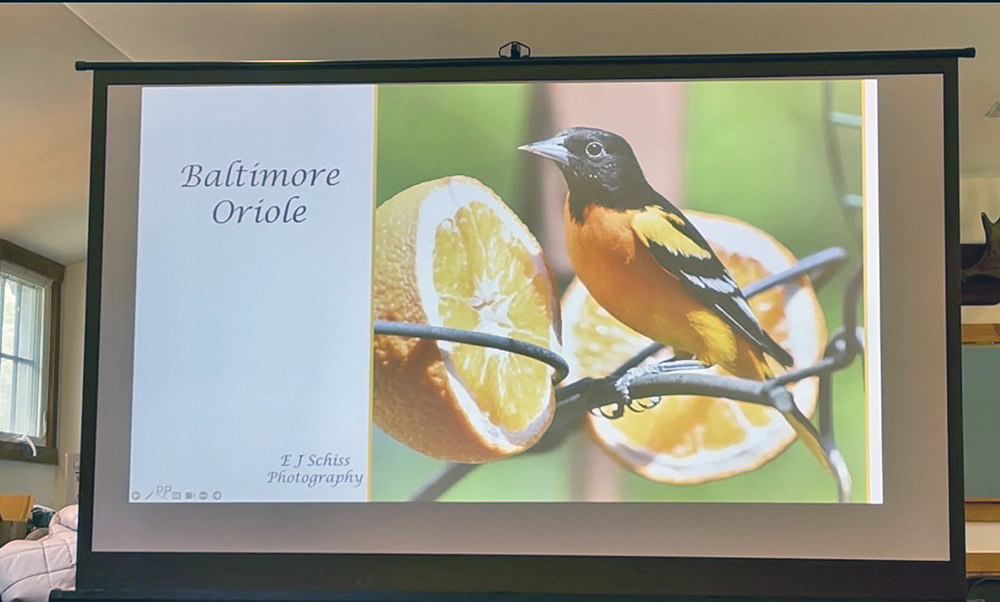 Liz Schissler's presentation of her bird photography collection at Izaak Walton for World Migratory Bird Day. (Summer Kiswani/ H-F Chronicle)