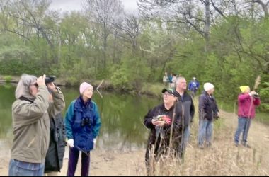 World Migratory Bird Day attendees at Izaak Walton Preserve looking up at birds flying around during bird tour. (Summer Kiswani/ H-F Chronicle)