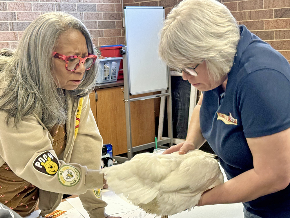 Jennifer Murtoff uses Sandy to teach a seminar participant how to look for wing injuries. (Karen Torme Olson/H-F Chronicle)