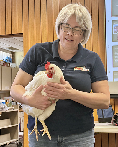 Home to Roosts’ founder Jennifer Murtoff introduces the audience to her sidekick, a white Plymouth Rock hen. (Karen Torme Olson/H-F Chronicle)
