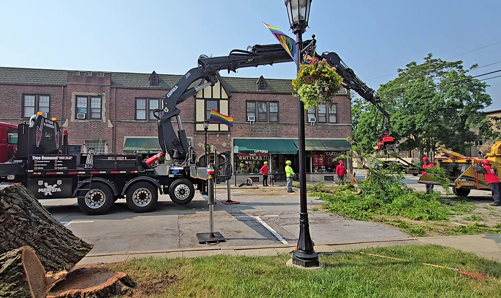 Trees are removed from Central Drive on June 5 in preparation for the Flossmoor Downtown Streetscape Project. (Eric Crump/H-F Chronicle)