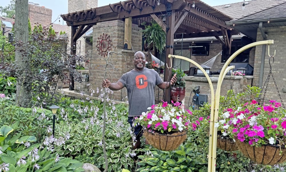 Darryl Johnson of Olympia Fields has been creating his lush hosta garden for more than a decade. (Marilyn Thomas/H-F Chronicle)