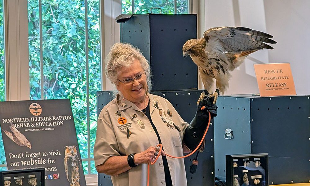Candy Ridlbauer introduces Tessa, a red-tailed hawk, to community members at Irons Oaks Environmental Learning Center during the Birds of Prey Animal Encounters event. (Chris Weber/H-F Chronicle)