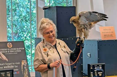 Candy Ridlbauer introduces Tessa, a red-tailed hawk, to community members at Irons Oaks Environmental Learning Center during the Birds of Prey Animal Encounters event. (Chris Weber/H-F Chronicle)