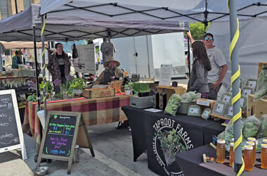 From left, regular Homewood Farmers Market vendors Wrought Iron Farm and Taproot Farms, at the market on Aug. 23. (Eric Crump/H-F Chronicle)