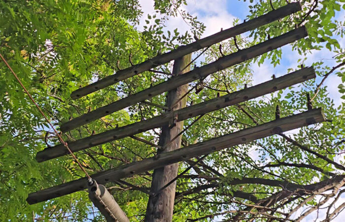 One of three telegraph poles adjacent to the railroad tracks in Flossmoor before it was removed Wednesday morning to make way for the new Flossmoor Veterans Memorial. (Eric Crump/H-F Chronicle)