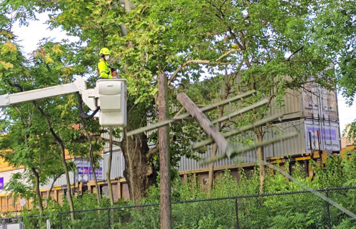 The top section of a telegraph pole falls Wednesday morning in Flossmoor. (Eric Crump/H-F Chronicle)