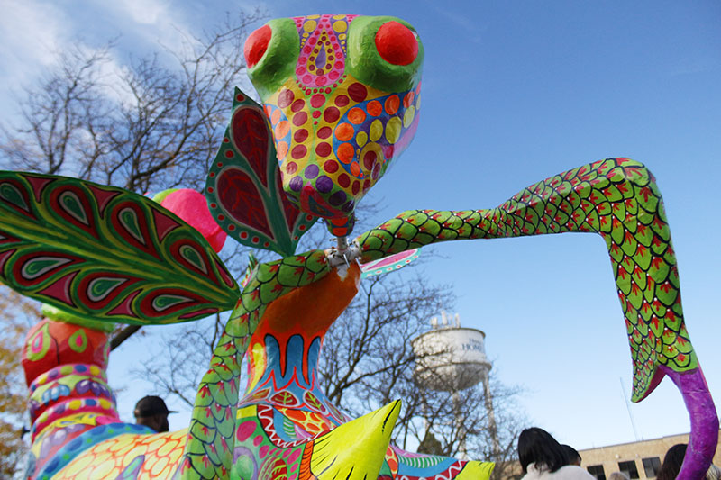 A fantastical creature created by Xicantl for the 2022 Dia de los Muertos celebration in Homewood. (Chronicle file photo)