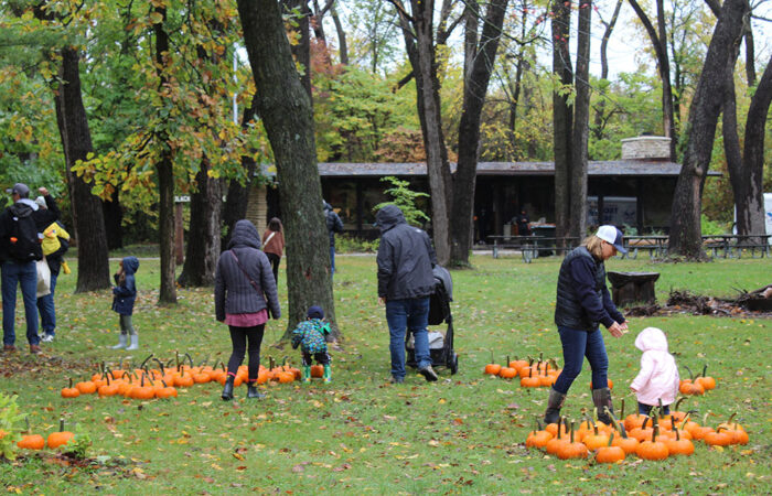 Families explore the pumpkin patch area outside Black Bear Lodge at Izaak Walton Preserve during Walk Walton. (Nuha Abdessalam/H-F Chronicle)