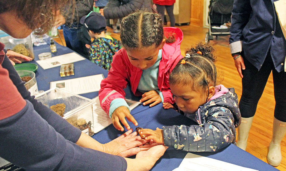 Sisters Amara Robinson, 6, and Noa Robinson, 3, examine a blue death-feigning beetle with fascination. Their mother, Caitlin McCaffery, said the girls are "fearless." (Nuha Abdessalam/H-F Chronicle)