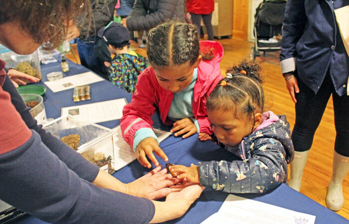 Sisters Amara Robinson, 6, and Noa Robinson, 3, examine a blue death-feigning beetle with fascination. Their mother, Caitlin McCaffery, said the girls are "fearless." (Nuha Abdessalam/H-F Chronicle)