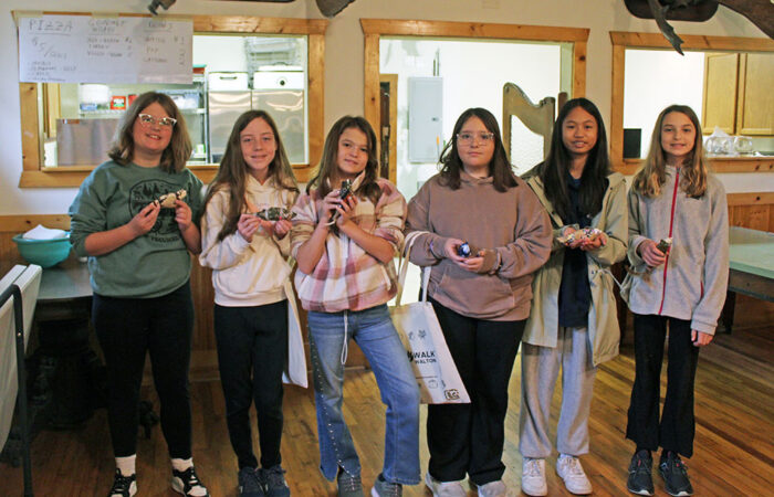Girl Scouts from Orland Park Troop 65572, from left: Olivia O'Bole, Maddie Polito, Emma Stanek, Bella Carbone, Kyrene Espiritu and Rylee Stanek, run a bird craft station. (Nuha Abdessalam/H-F Chronicle)