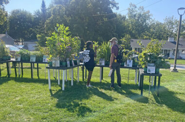Flossmoor Green Commission Chair Tristan Shaw talks with a resident about plants for sale at OAKtoberfest in Flossmoor on Oct. 4. (Jamilah Lewis/H-F Chronicle)