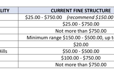 A regional comparison chart depicting fine structures for pets at large that compares Homewood to other neighboring communities. (Provided Photo)