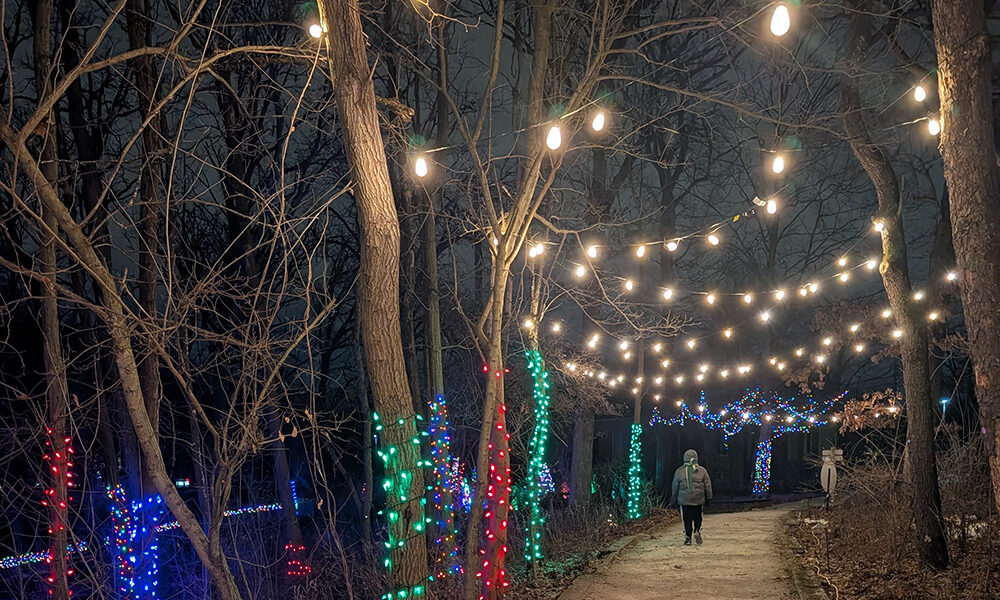 A boy walks down the trail at Irons Oaks on Dec 19. (Chris Weber, H-F Chronicle)