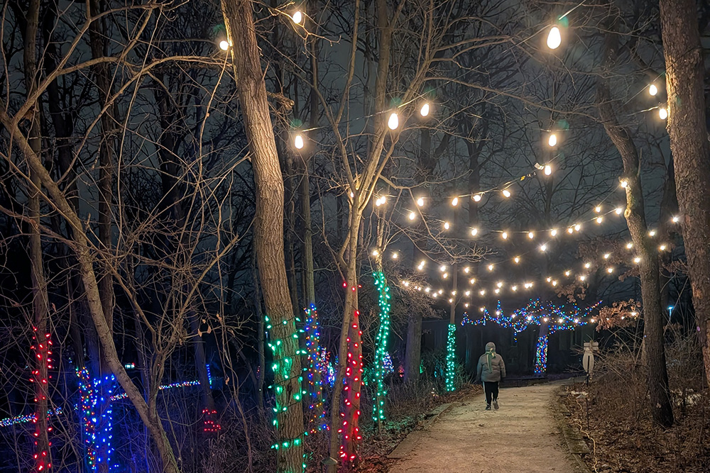 A boy walks down the trail at Irons Oaks on Dec 19. (Chris Weber, H-F Chronicle)