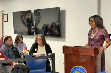 Cook County Commissioner Donna Miller, right, addresses the first meeting Jan. 7 of the Chicago–Cook County Task Force to Reduce Violence Against Women. (Provided photo)