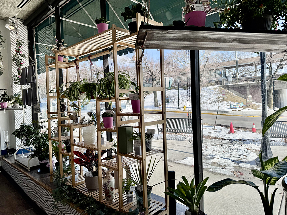 Gypsy Fix partner Kellie Lucas created a lush display at a window wall of the store. (Karen Torme Olson/H-F Chronicle)
