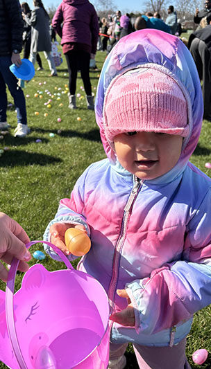 It was a cool morning, but Mia Rubio, 2, didn't mind as she searched for the lucky egg. (Marilyn Thomas/H-F Chronicle)