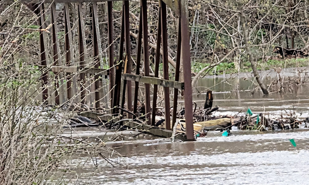 Butterfield Creek overflows the pedestrian bridge at the south end of Dartmouth Road in Flossmoor at 2:30 p.m. Saturday. (Theresa Duckett/provided)
