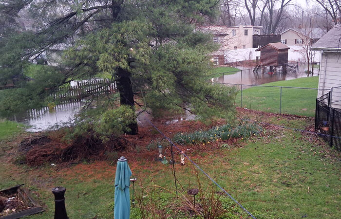 Back yards between Highland and Homewood avenues in Homewood have standing water. (Pat Romane/provided)