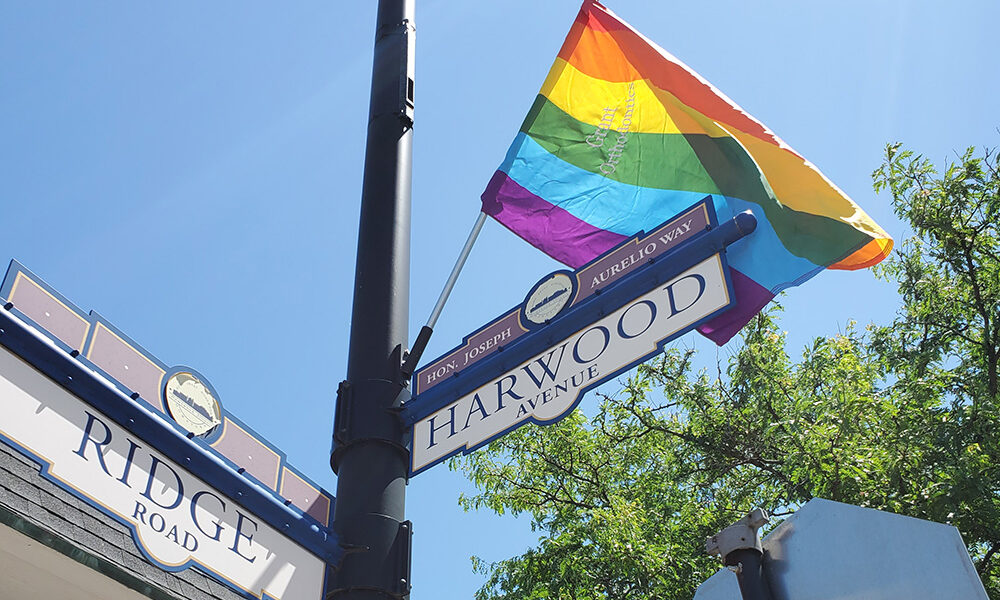 A Pride flag flies on a street sign pole at Ridge Road and Harwood Avenue during Pride Month in June 2020. Flags that year were sponsored by local businesses but displayed on village poles. (Chronicle file photo)
