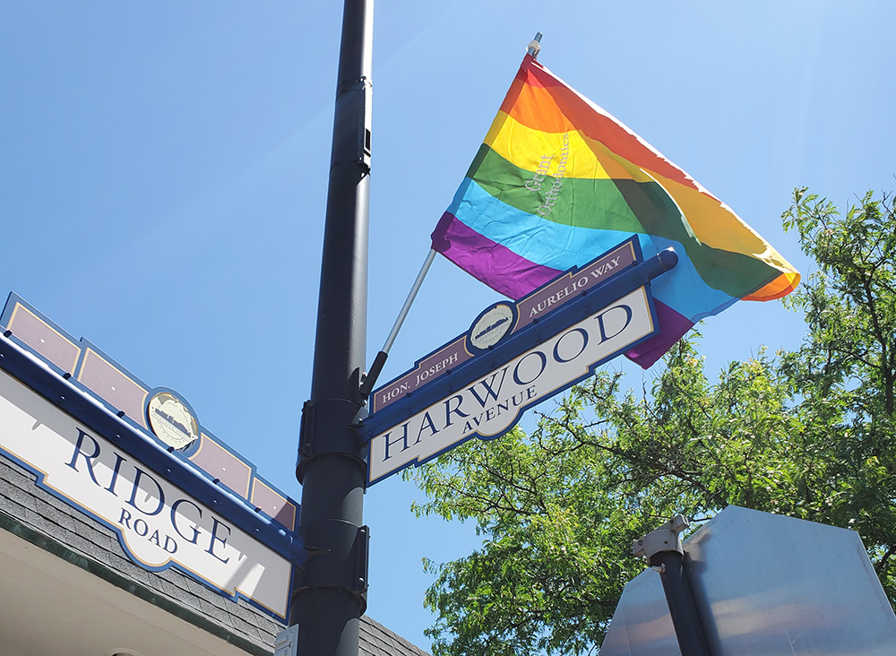 A Pride flag flies on a street sign pole at Ridge Road and Harwood Avenue during Pride Month in June 2020. Flags that year were sponsored by local businesses but displayed on village poles. (Chronicle file photo)
