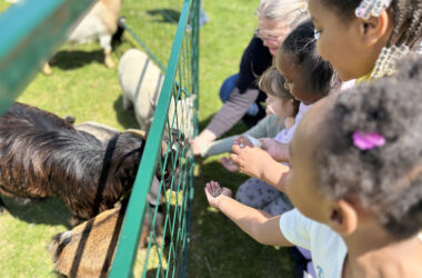 Hands extended drew goats and sheep to kindergarteners at the Willow School petting zoo on May 15. (Marillyn Thomas/H-F Chronicle)